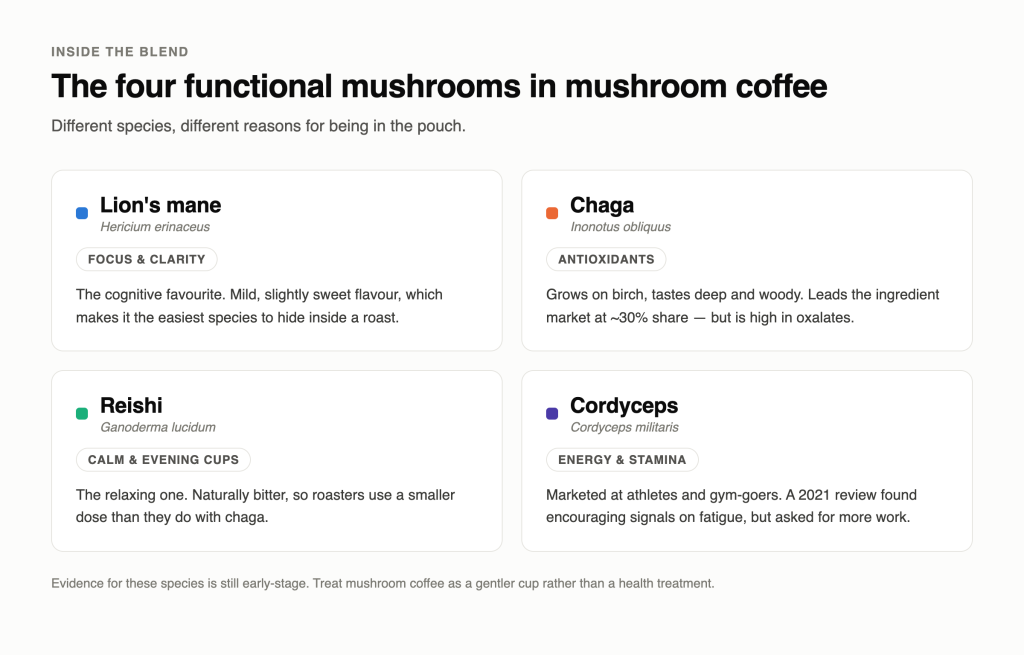 The four functional mushrooms used in mushroom coffee: lions mane, chaga, reishi and cordyceps