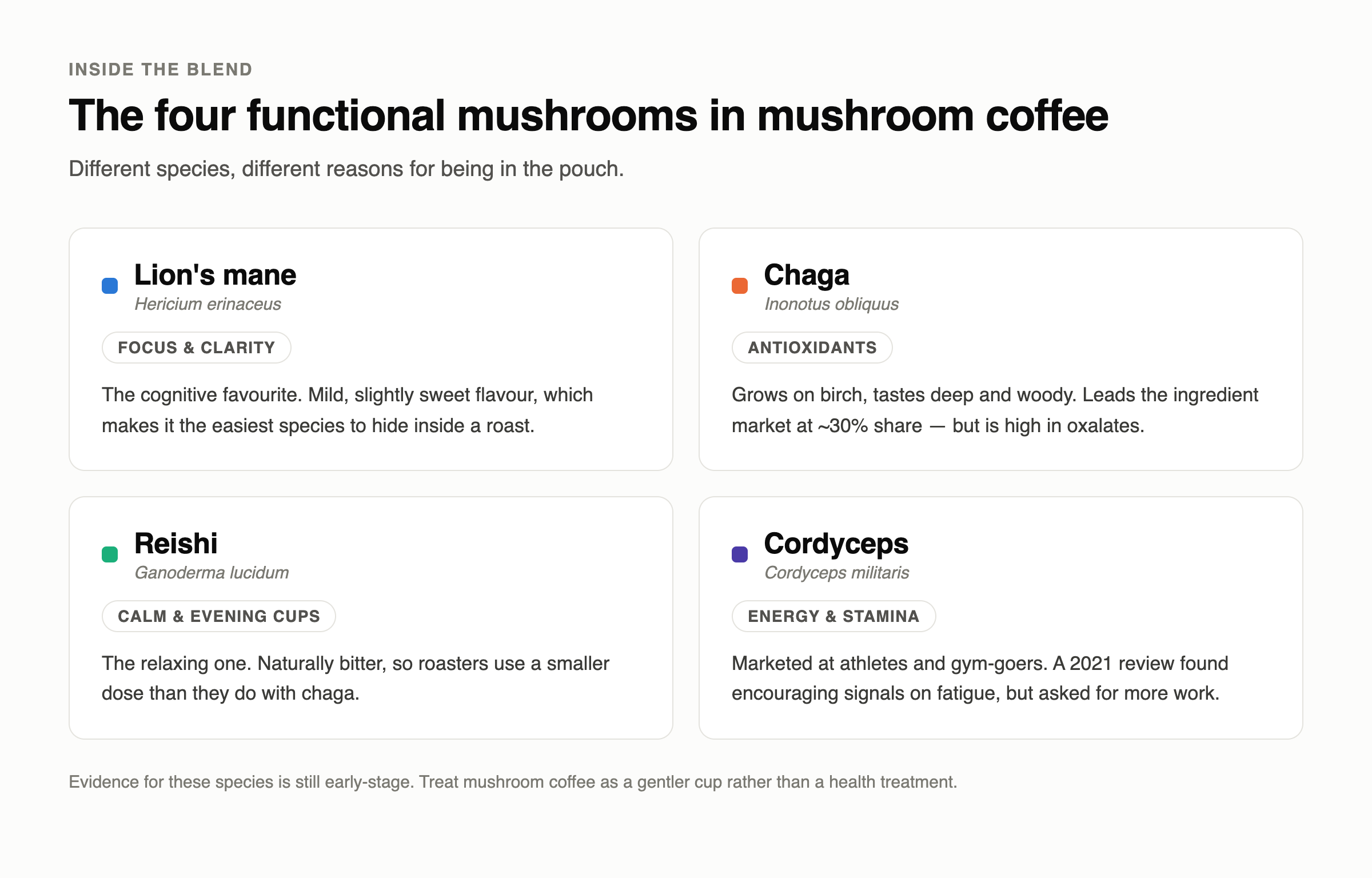 The four functional mushrooms used in mushroom coffee: lions mane, chaga, reishi and cordyceps